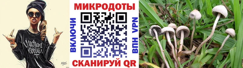 Псилоцибиновые грибы Psilocybine cubensis  ссылка на мегу ТОР  Юхнов 